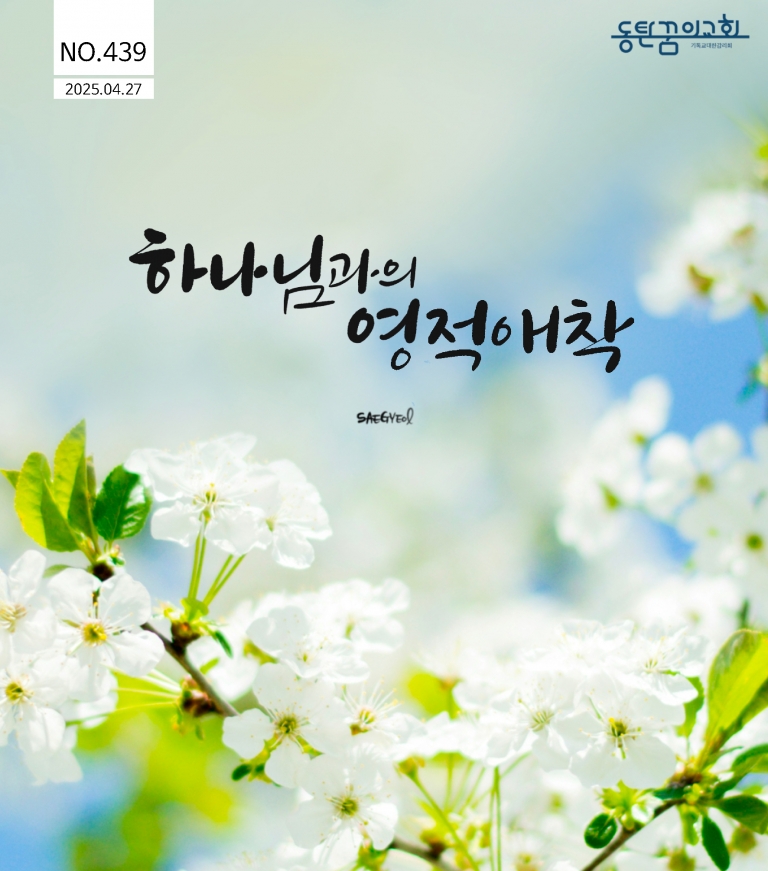 25년 4월 27일